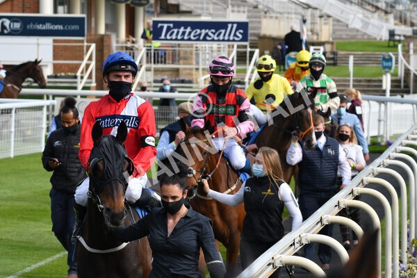 yr12052021r7-12 - Race 7 4.50 pm Conundrum HR Consulting Stakes