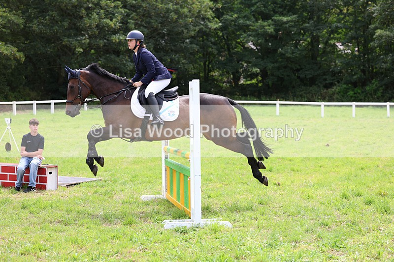 3E7A6966 - Class 5: Senior British Novice/90cm open