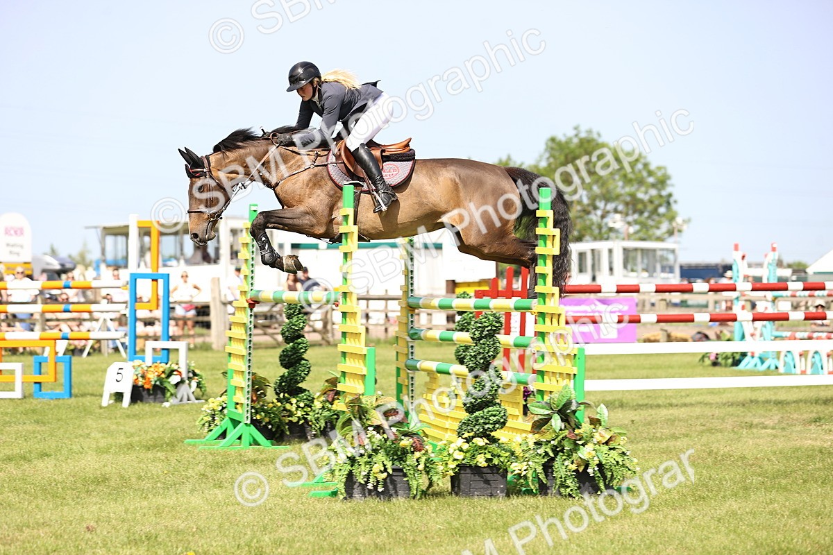 SBM_02946 - Class 201 - British Horse Feedds Speedi Beet HOYS Grade C