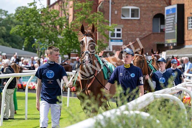 260724-Graham Lee Stable Staff Stakes-3176 - Graham Lee Stable Staff Stakes