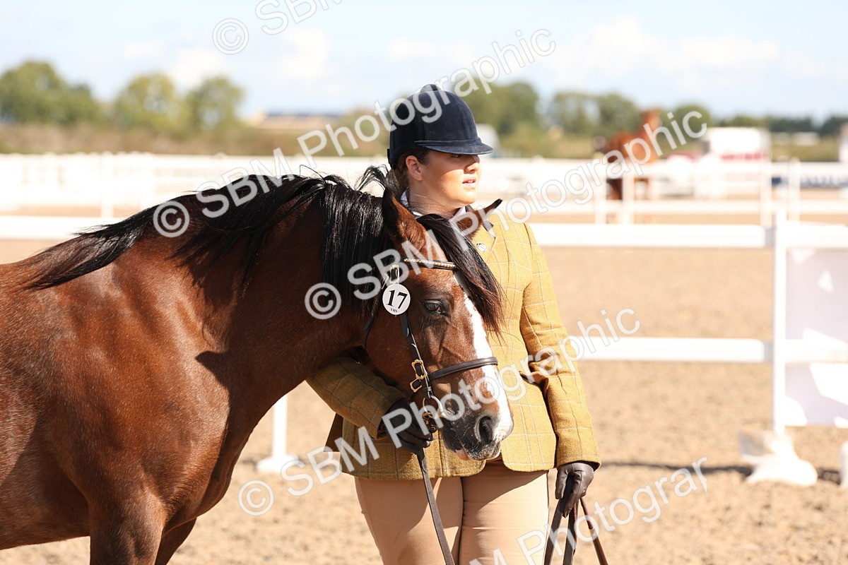 SBM_13942 - Class 205 - IH Show Pony - Show Hunter Pony