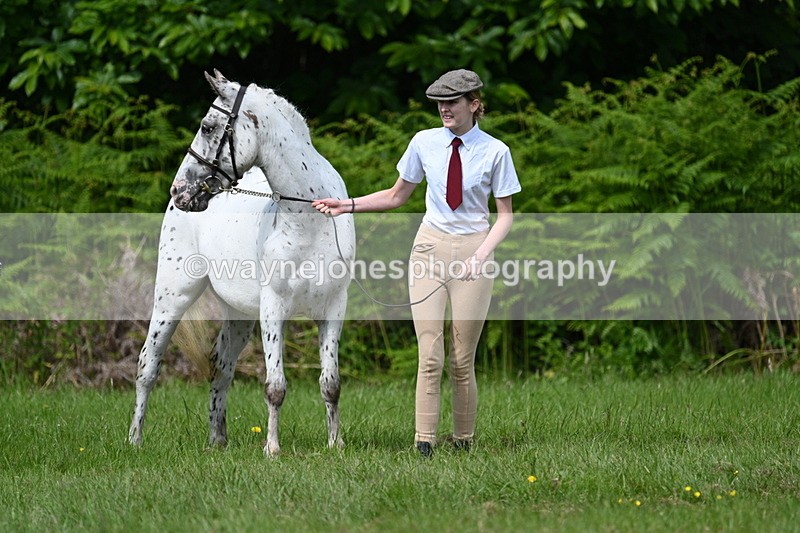 WJ7_1288 - Class 11 Condition & Turnout