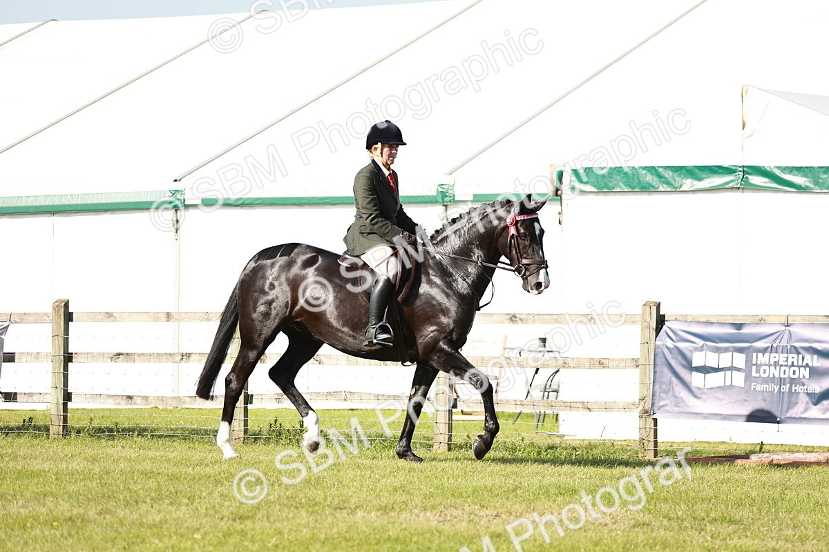 SBM_19227 - Class 115-116 - LIHS BSHA Rising Star Working Hunter & Show Horse