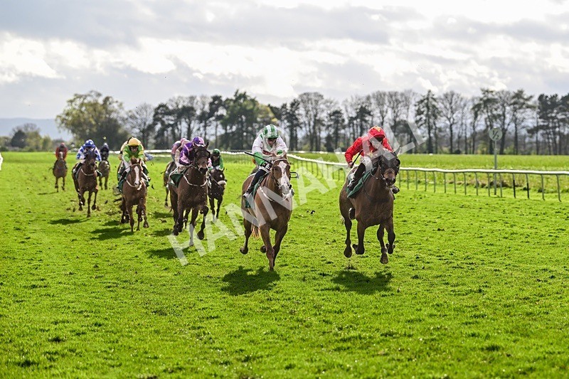  - Race 8