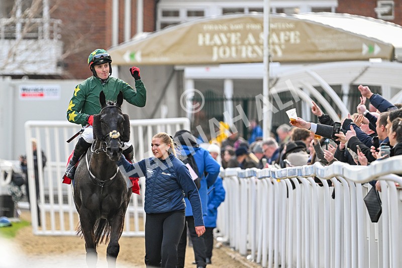 120325-Race 4-Stumptown-7202 - 12th March