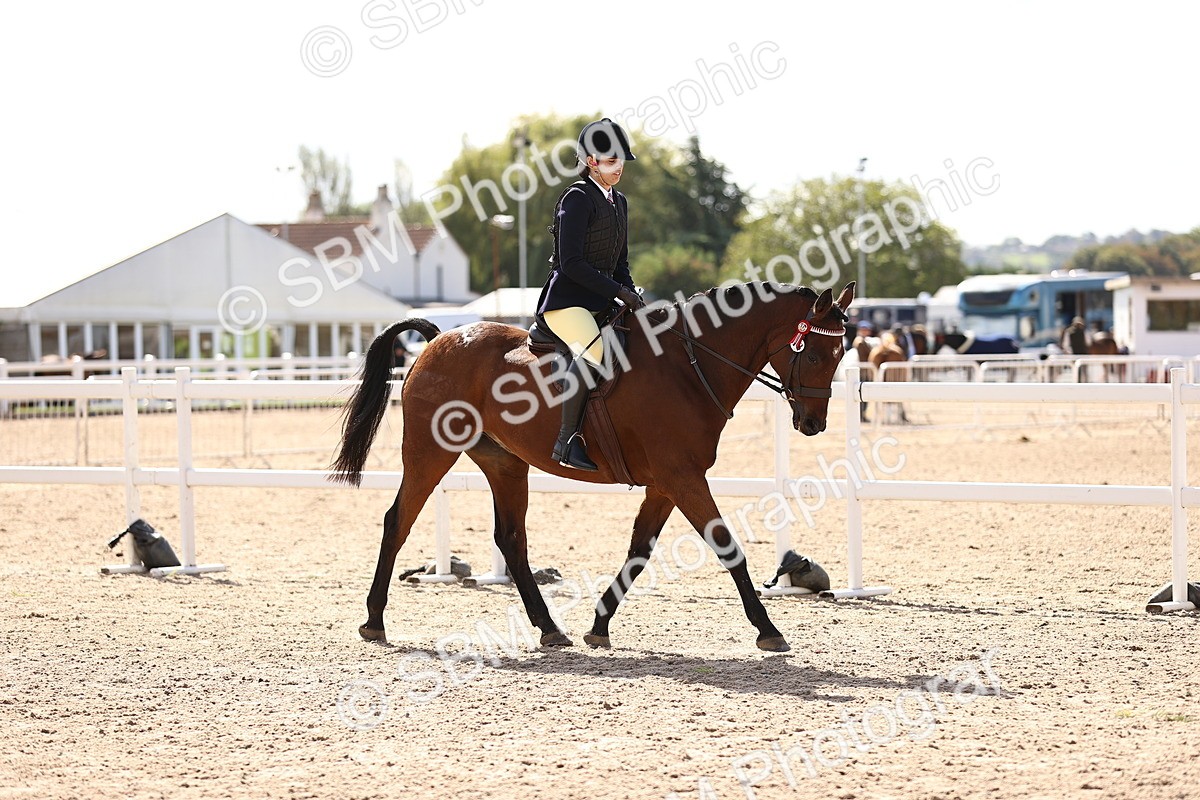SBM_11636 - Class 408 - Grassroots Ridden - Walk & Trot