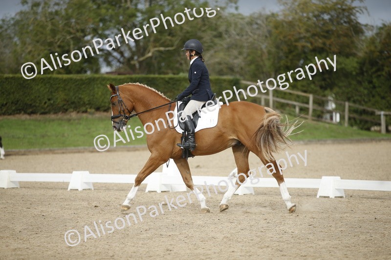 20260913-0196 - Class 3 - Novice 5