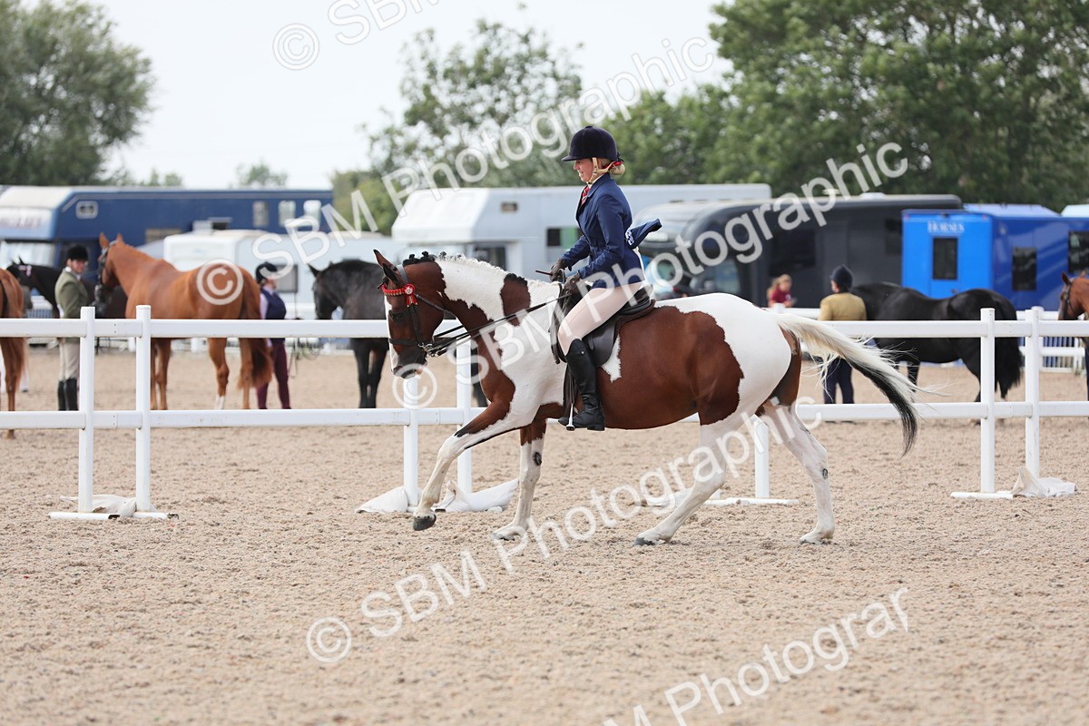 SBM_13452 - Class 308 Ridden Coloured Horse