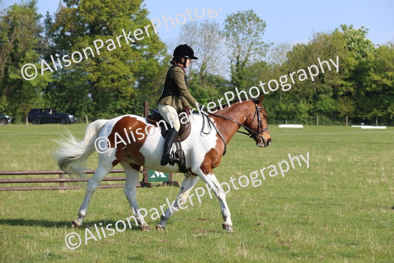 20250427-0573 - Class 17 - Novice Showing