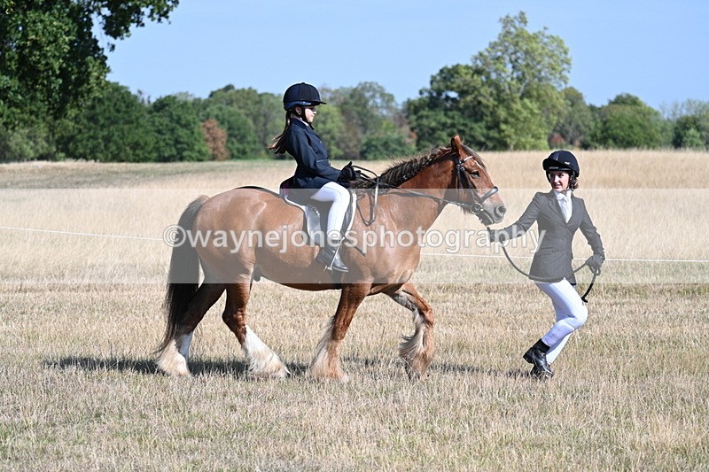 WJ7_2992 - Class 8 Ridden Tack & Turnout