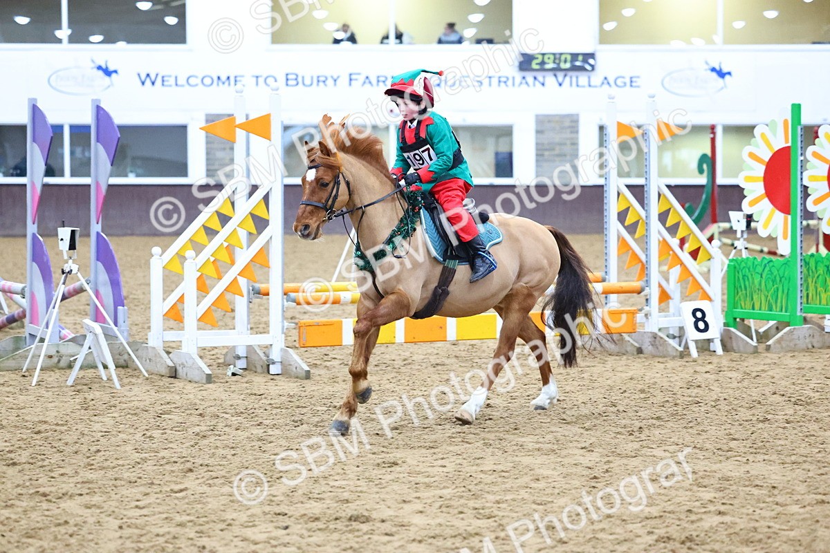 SBM_001364 - Class 3 - Christmas Tree Stakes - 60cm