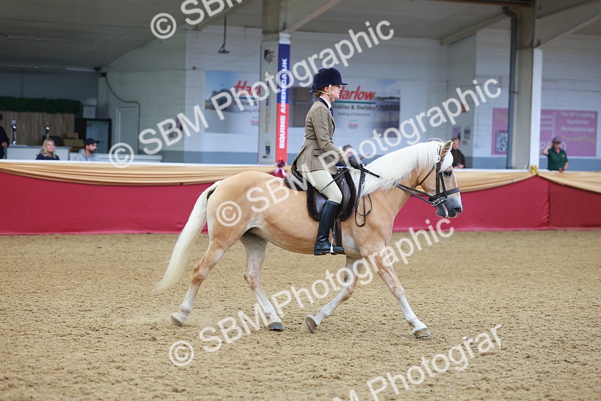 SBM_09784 - Class 102 - HOYS Veteran Qualifier - Ridden Veteran