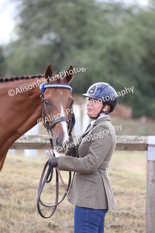 20260831-1960 - Class 5 - Retraining of Racehorses