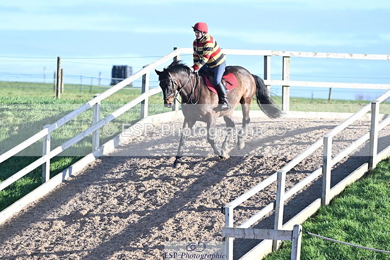 240107A-113258-00487 - AE 80cm