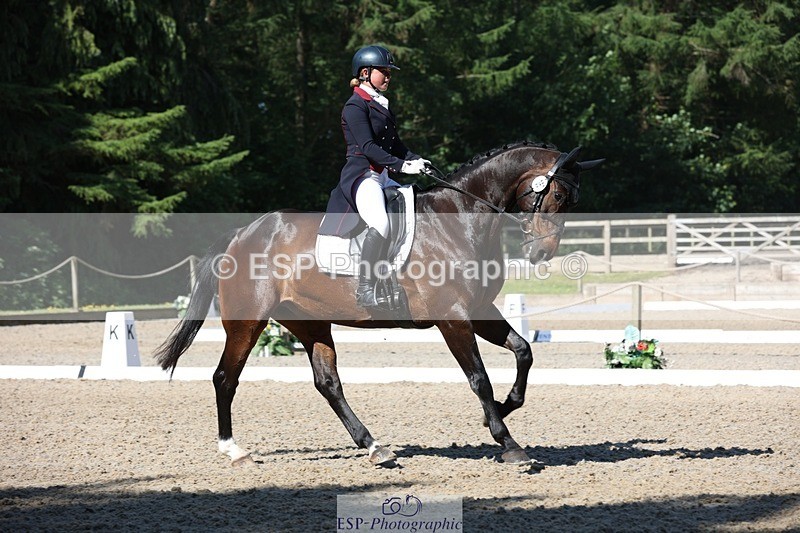 230526-094023-05127 - 357-VIVENDI_HERO-Saffron_Cresswell-WEDTrotUp+DR