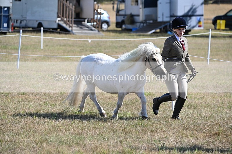 WJ6_4186 - Class 16 Condition & Turn Out