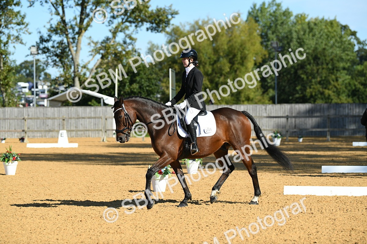 SBM_17992 - D4 - Small Tour Championship - Intro B