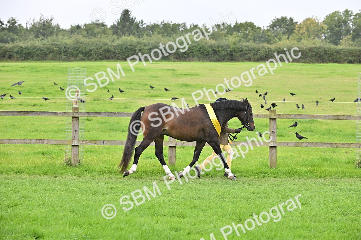 SBM_68663 - S42 - Junior Handler 9-12 Years