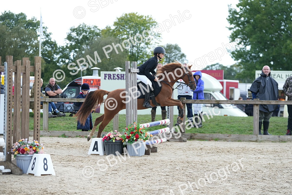 SBM_40010 - J6 - Junior Pony 55cm Championship