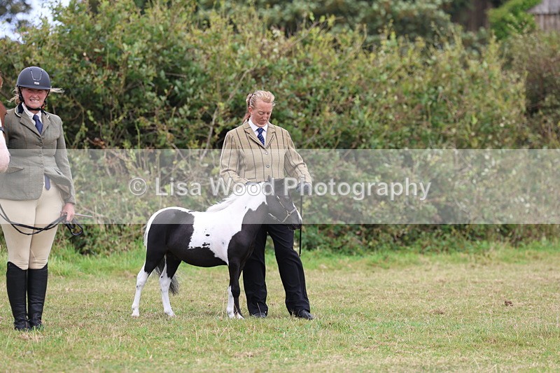 3E7A4190 - Class 15: Two Year Olds