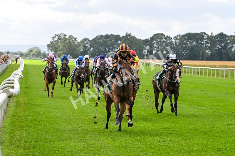 090824-Race 3-South Parade-4502 - Race 3