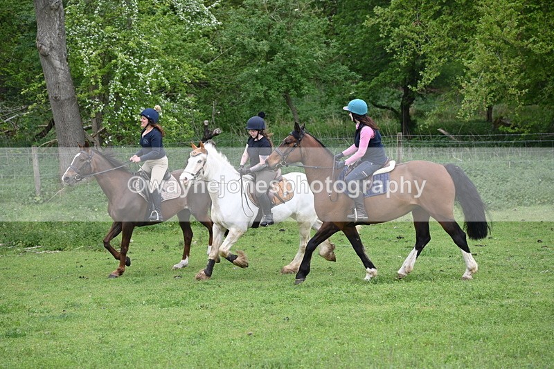 WJ6_3125 - A camera