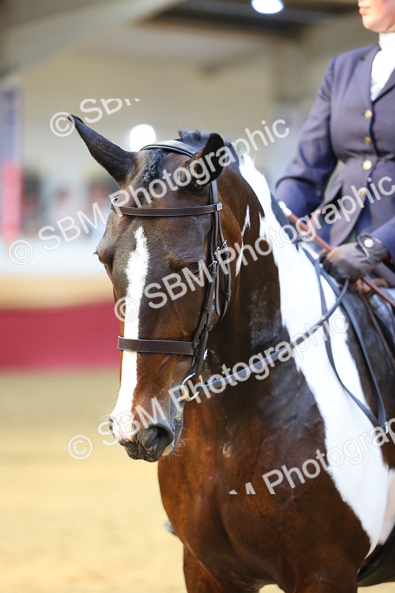 SBM_24637 - Class 906 - Supreme Final - Ridden Pre Vet