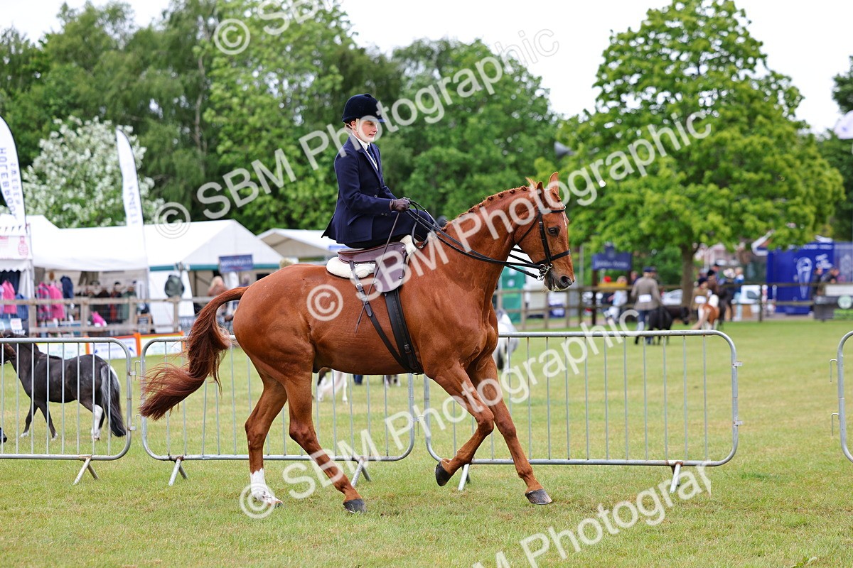 SBM_02729 - Class 9-11 Side Saddle including LIHS Rising Star Ladies Show Horse