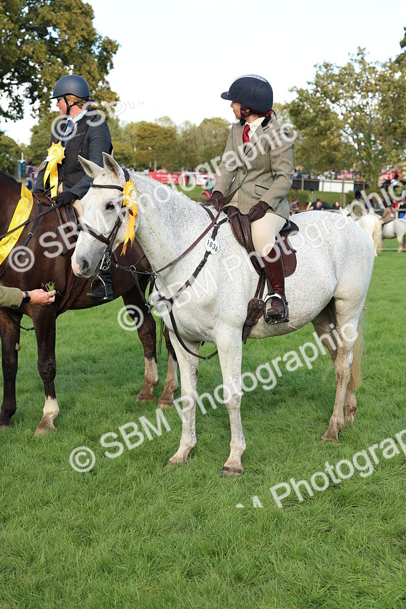SBM_50198 - S34 - Novice & Newcomers Working Hunter