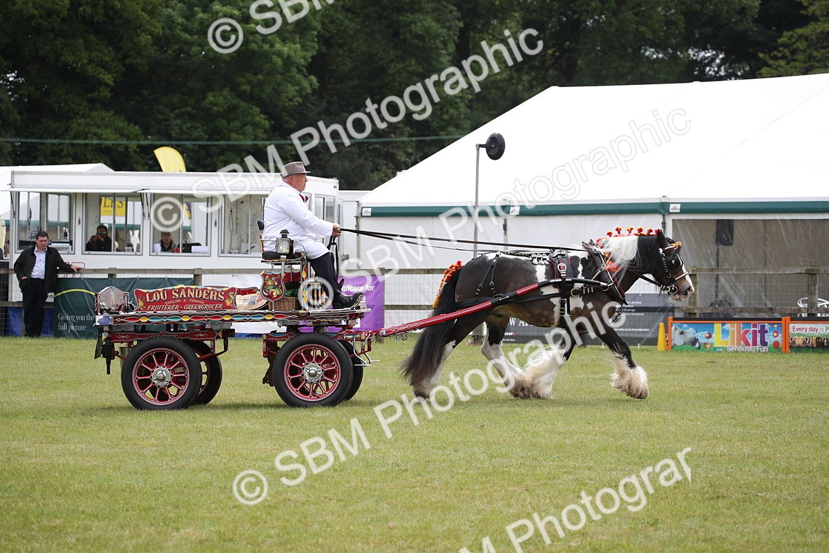 SBM_07046