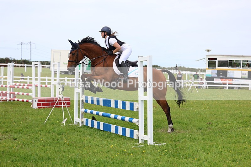 3E7A1740 - Class 13: Senior British Novice/90cm open