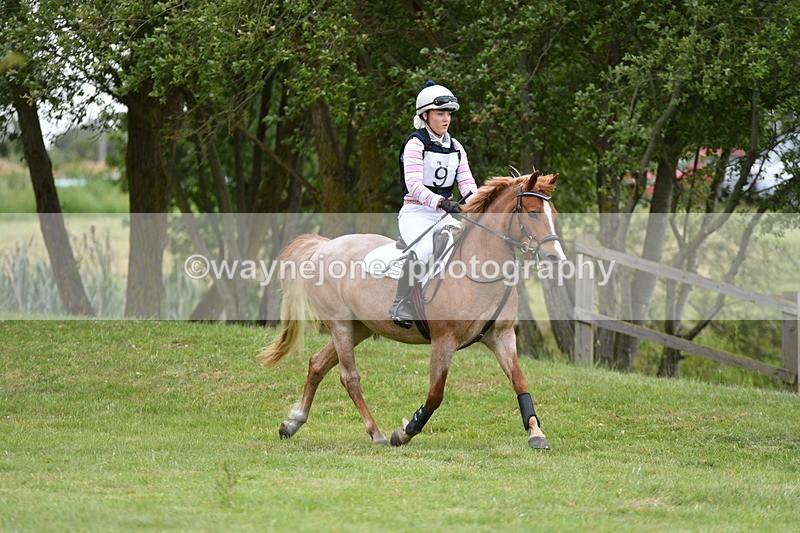 WJ5_2498 - Class 2 40cm