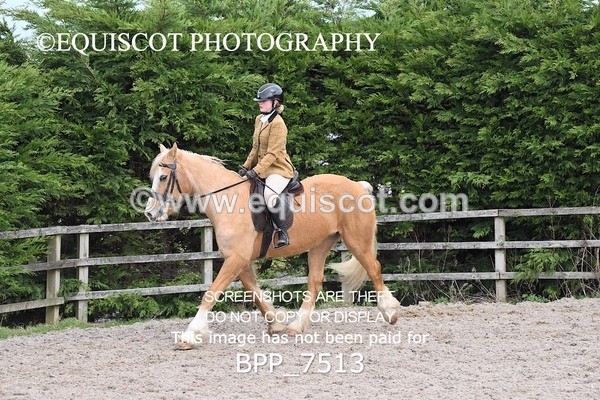 BPP_7513 - RING 1  (RIDDEN HORSES / IN HAND / VETERAN ETC)