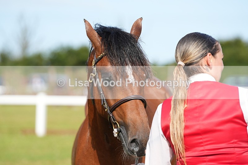 DSC04814 - Class 47: NPS M&M Yearling