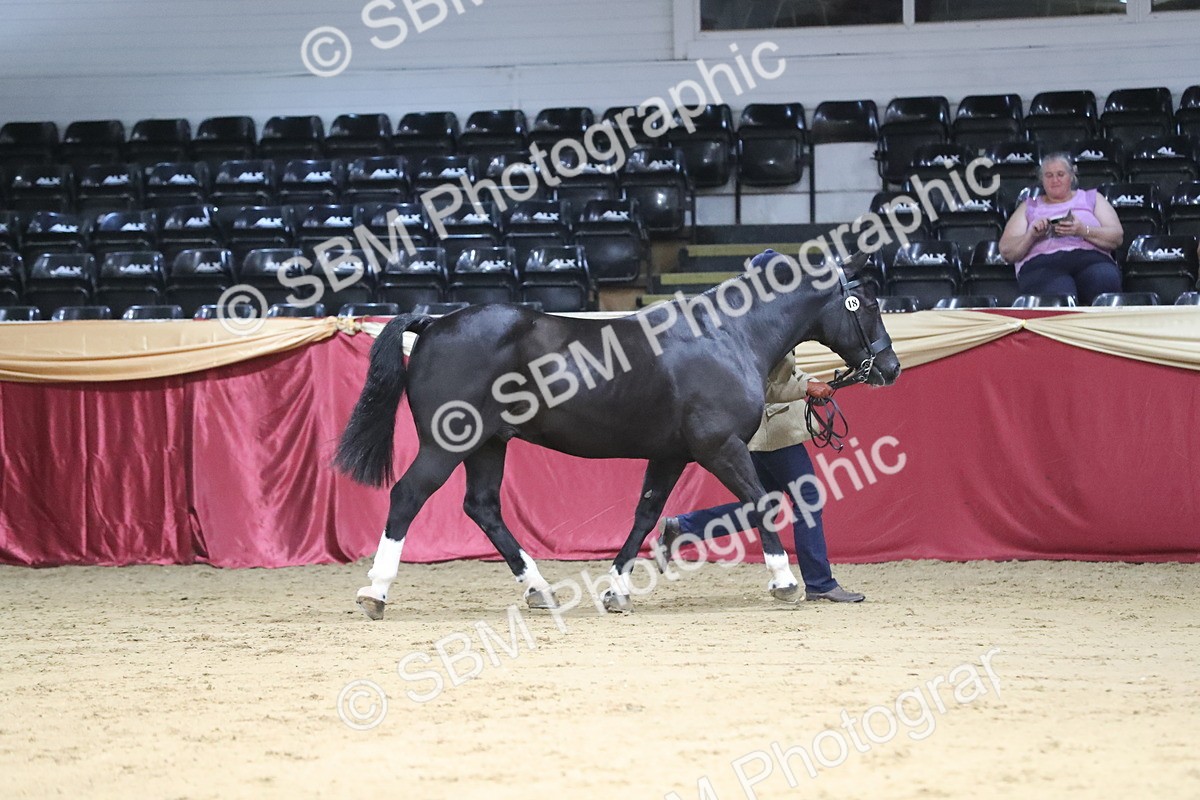 SBM_06329 - Class 9R Regional- IH Pre Vet