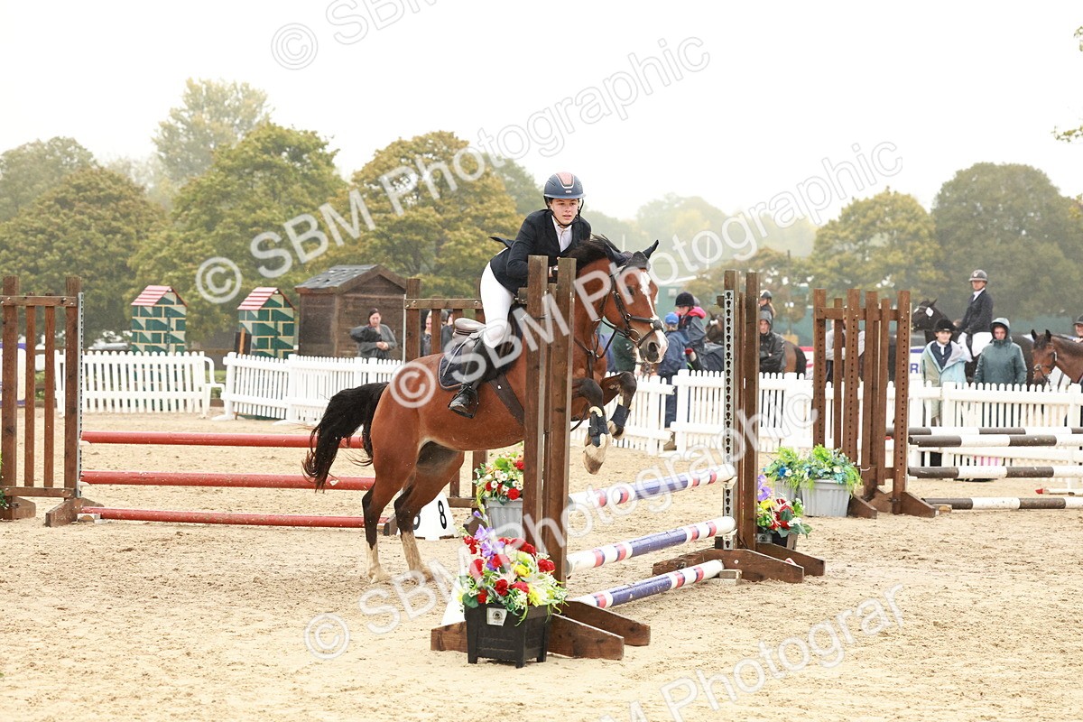 SBM_73374 - Supreme Championship Junior Pony 60cm & 65cm