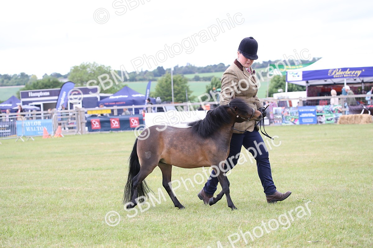 SBM_03532 - Class 23-25 - British Miniature Horse of the Year