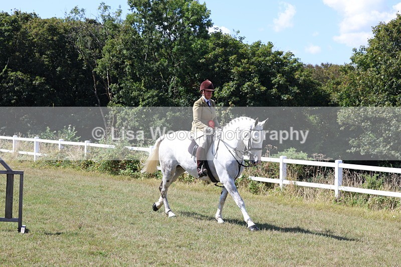 3E7A6373 - Working Hunter Championship