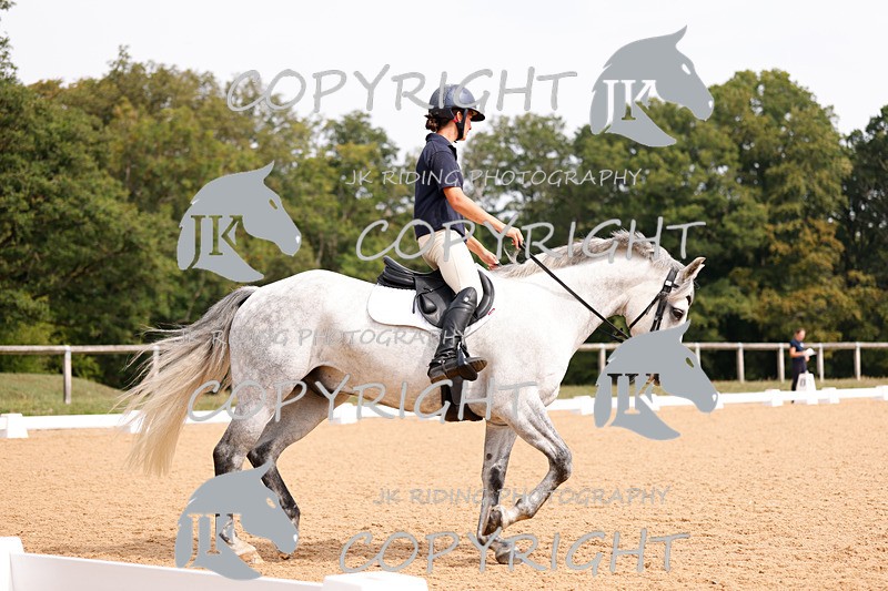 _R6A2796 - Dressage Morning