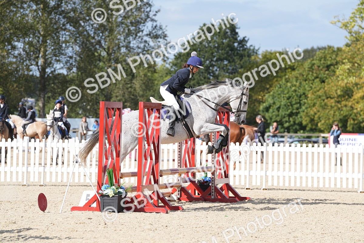 SBM_48596 - J22 - Junior Horse 65cm Championship