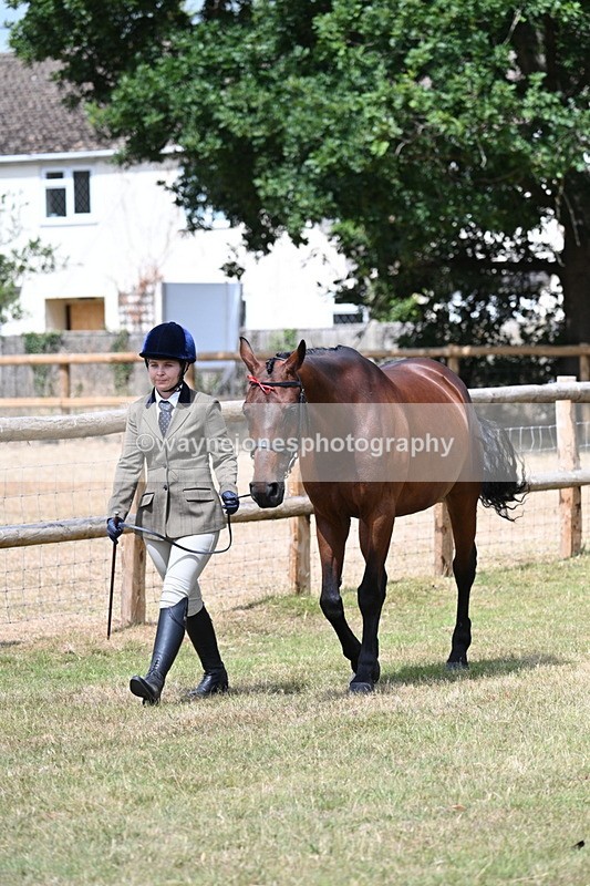 WJ7_1768 - Class 4a Prettiest Mare 14.2hh and over hand