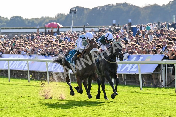 111025-Race 3-Laazm-0341 - Race 3 Coral 'Daily Reward Shaker' For Free Nursery Handicap at York