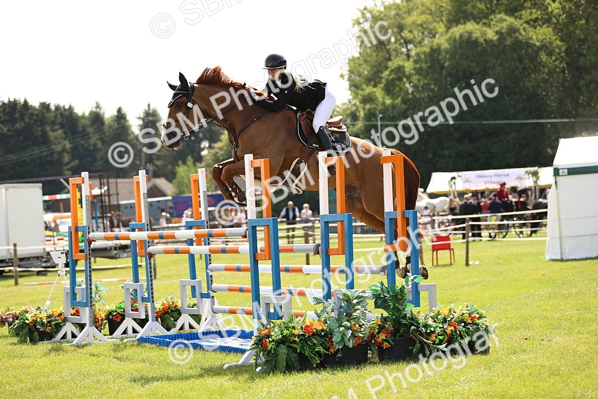 SBM_03106 - Class 201 - British Horse Feedds Speedi Beet HOYS Grade C
