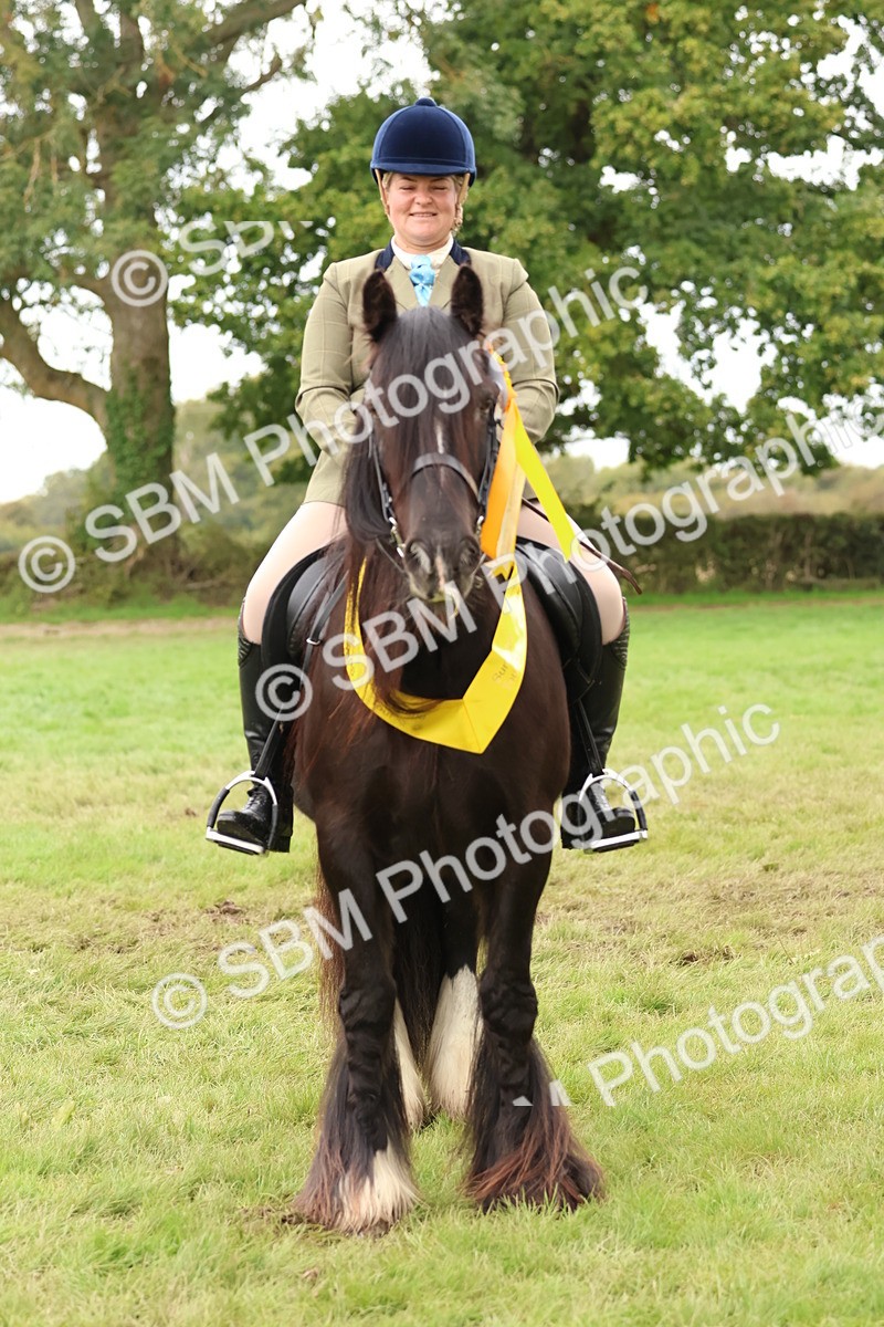 SBM_59994 - S36 - Rehabiliated Rescue Horse & Pony In Hand & Ridden