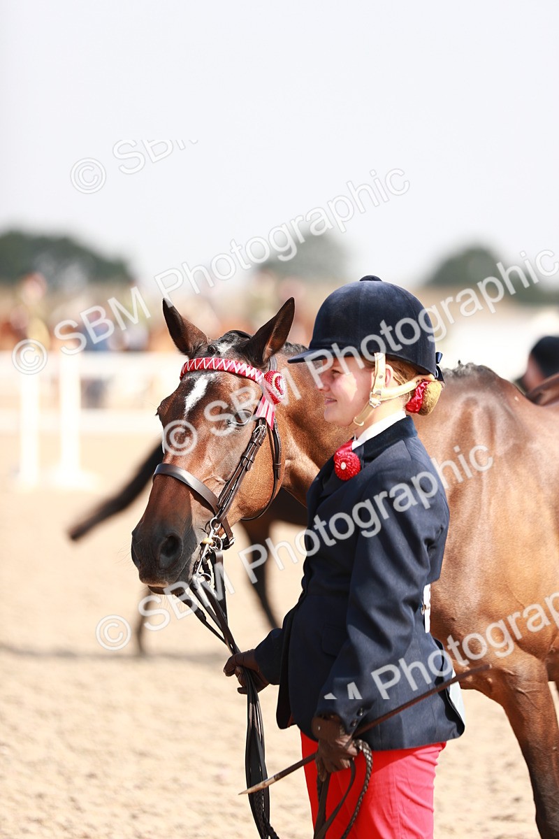 SBM_11119 - Class 205 IH Show Pony/ Show Hunter Pony