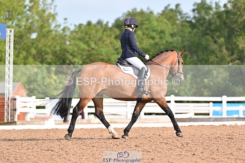 240817A-095226-06754 - 197-Karen.Martin-Furzeylodge.Weatherwax