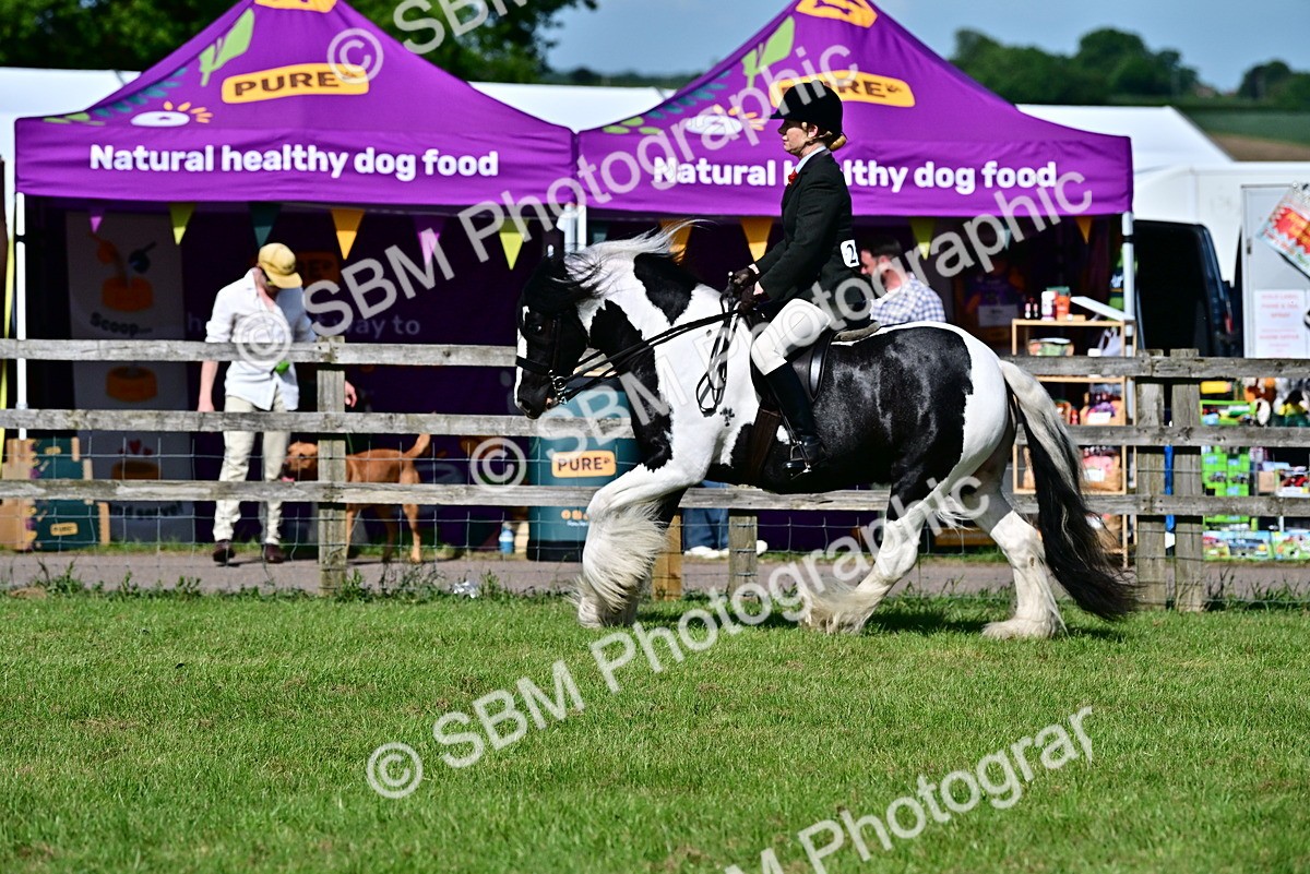 SBM_09348