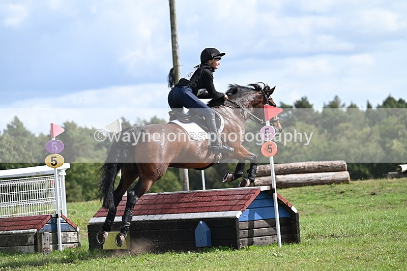 WJ7_1915 - Time 13:17 to 13:53