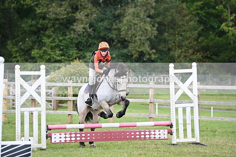 WJ6_1616 - 60cm Time 12:11 to 12:28