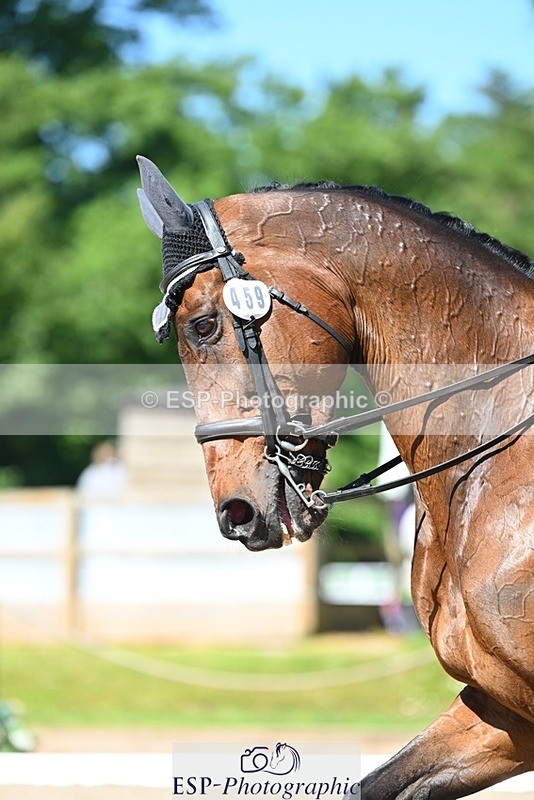 230526-101528-05571 - 459-ALAMEIN-Roberto_Scalisi-DR